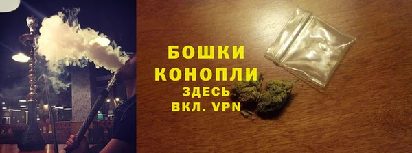 амф Верея