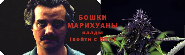 МДПВ Слюдянка