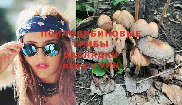 прущая мука Верхний Тагил