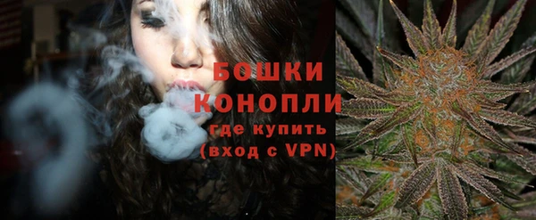 амф Верея