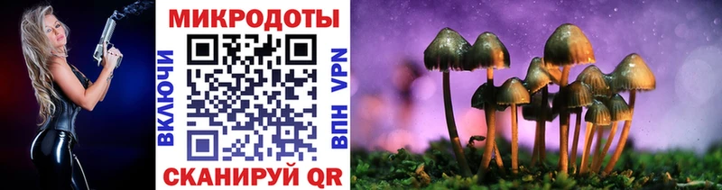Псилоцибиновые грибы Psilocybine cubensis  МЕГА маркетплейс  Кинешма 